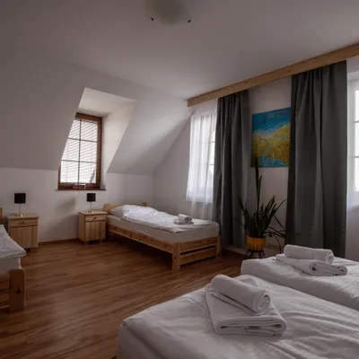 Araya Mlynica - Rooms