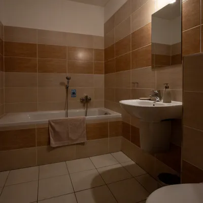 Araya Mlynica - Rooms