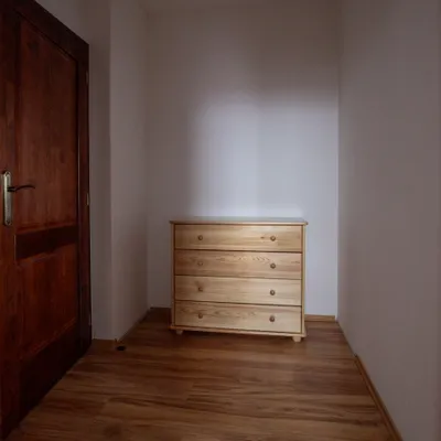 Araya Mlynica - Rooms