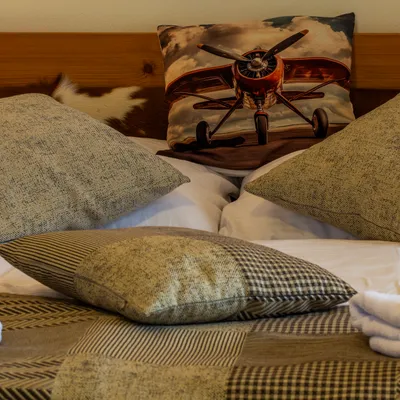 Araya Mlynica - Z123