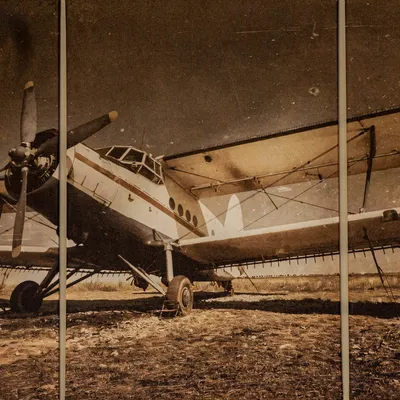 Araya Mlynica - Z123