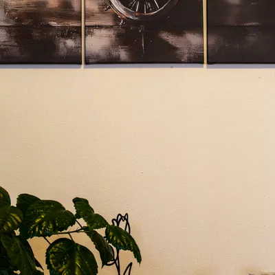 Araya Mlynica - Z123