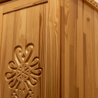 Araya Mlynica - Z123