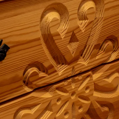 Araya Mlynica - Z123