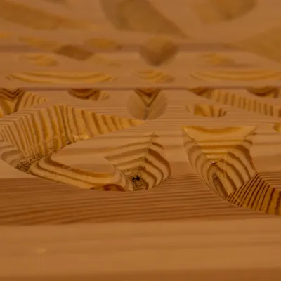 Araya Mlynica - Z123