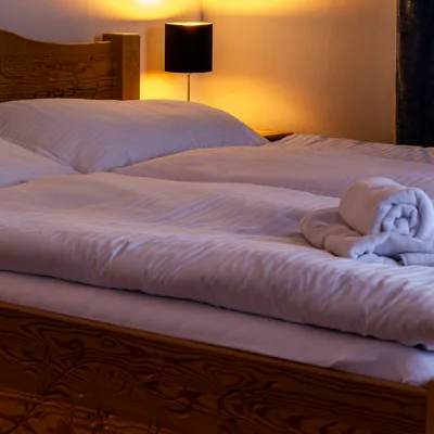 Araya Mlynica - Z123